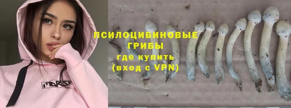 винт Пролетарск