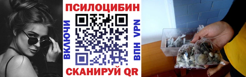 Псилоцибиновые грибы мухоморы  Рошаль 
